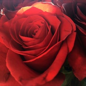 Meet your Posher, N.